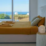 And Friends With Ocean View